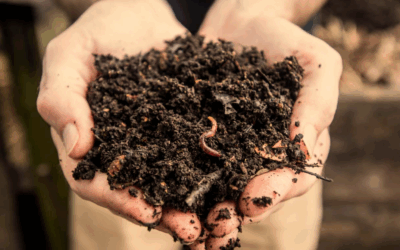 Saturday 8th Nov – Learn How To Create Compost!