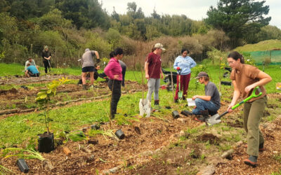 Saturday October 25th – Food Forest Planting Day with Cath and Kev!